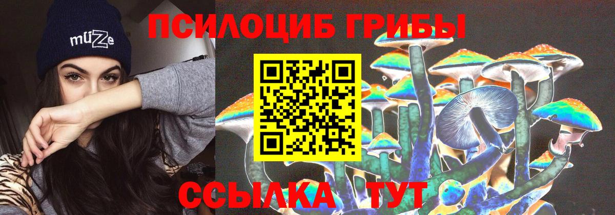 Псилоцибиновые грибы MAGIC MUSHROOMS  Вход с VPN  Зима 
