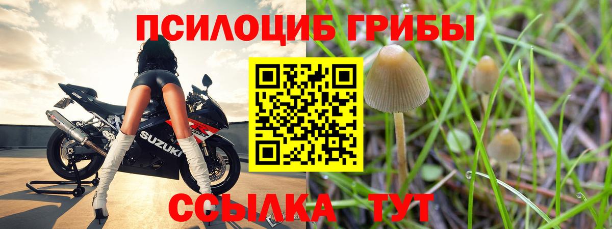 Галлюциногенные грибы GOLDEN TEACHER Зима